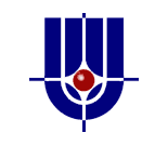 big-logo-kurchatovsliy_institut.png