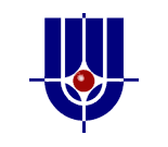 big-logo-kurchatovsliy_institut.png big-logo-kurchatovsliy_institut.png
